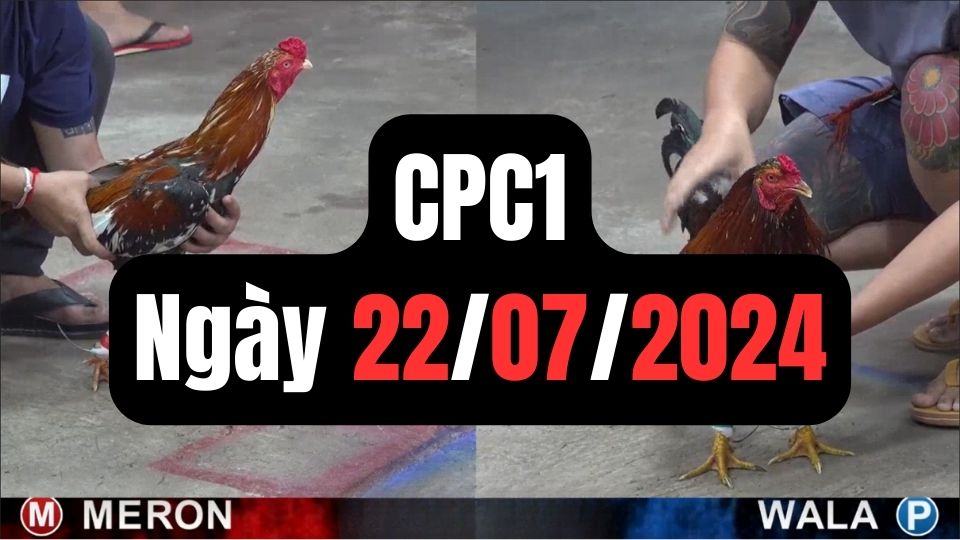 Tổng hợp đá gà CPC1 ngày 22/07/2024