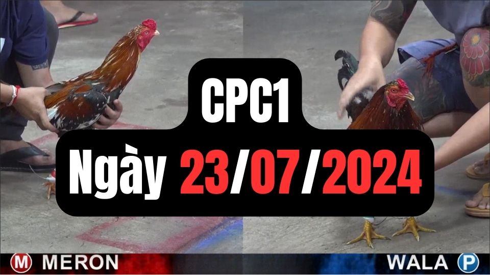 Tổng hợp đá gà CPC1 ngày 23/07/2024