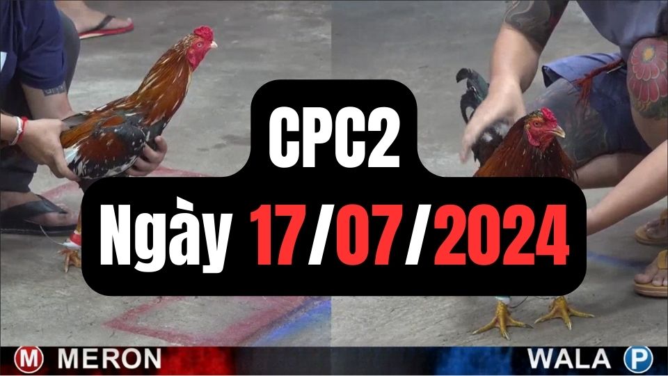 Tổng hợp đá gà CPC2 ngày 17/07/2024