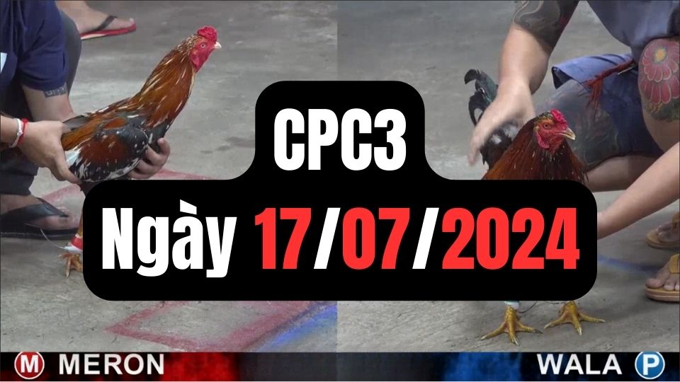 Tổng hợp đá gà CPC3 ngày 17/07/2024