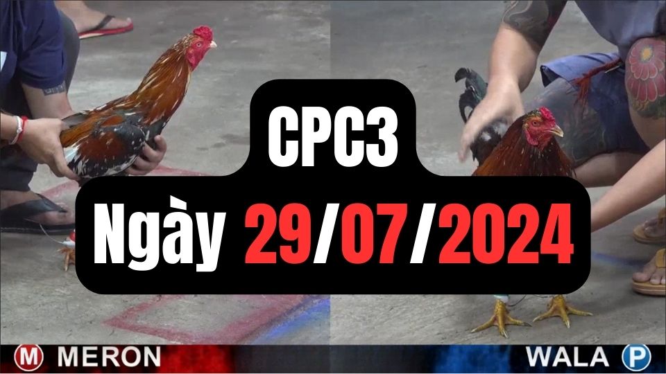 Tổng hợp đá gà CPC3 ngày 29/07/2024