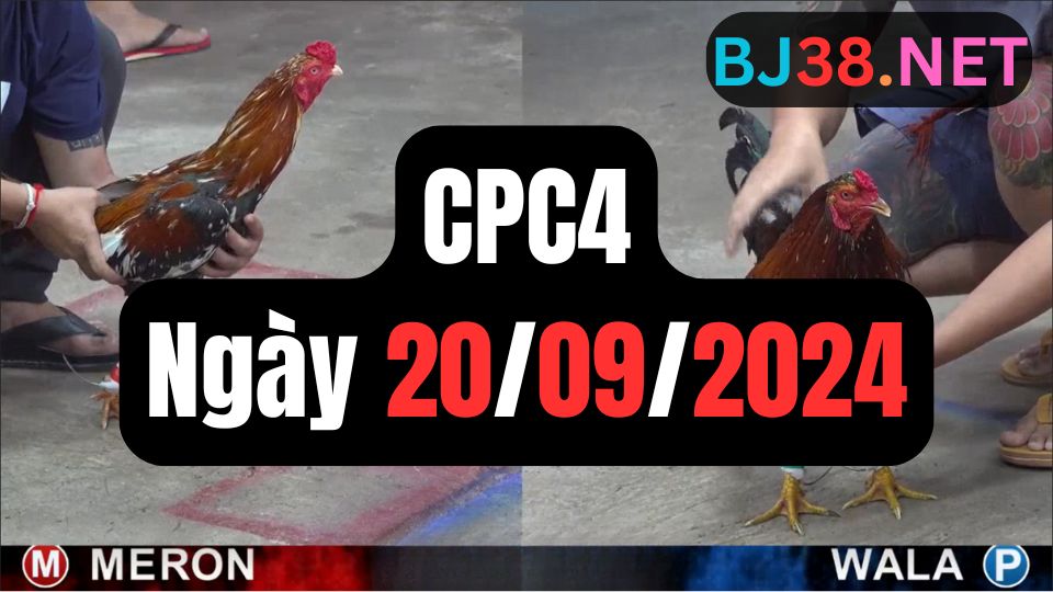 Video đá gà thomo CPC4 ngày 20/09/2024